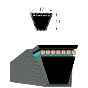 Curea trapezoidala clasica 17x11